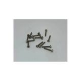 M2x4 Ysb Minik Mikro Vida A2 Inox 10 Adet