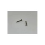 M2x6 Ysb Minik Mikro Vida A2 Inox 10 Adet