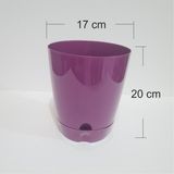 M3 Decorium 20 cm Çiçek Saksısı Plastik Tabaklı Altlıklı Ev Balkon Bahçe Dekorasyonu İçin İç Dış Mekan Dekoratif Yapay Canlı Bitki Kaktüs Saksısı
