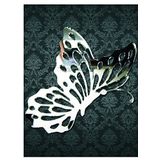 M3 Decorium Butterfly Season Dekoratif Ayna