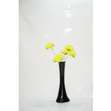 M3 Decorium Uzun 60 cm Siyah Desenli Vazo Sarı 5 Adet Ortanca