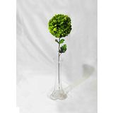 M3 Decorium Yeşil Ortanca Kırılmaz 40 cm Cam Vazo