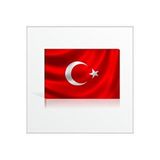 M3decorium Ofis Okul Karakol Duvarı Için 60x90cm Türk Bayrağı Kanvas Tablo Kırmızı