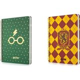 Mabbels Harry Potter Gryffindor Butik Defter + Harry Potter Butik Defter Çizgili ve Kareli