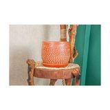 Mabelme Ev Dekorasyon Beyaz Nokta Desenli Doğal Tabaklı Terracota Toprak Saksı Saksılık Salon Çiçeklik 19 cm