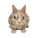 Mabelme Hi- Ltd 87650-C Büyük Driftwood Rabbit Heykeli - 0 - Siyah - Option-1
