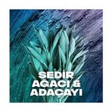 Mabelme Store Erkek Sprey Deodorant Apollo 48 Saat Etkileyici Koku Vücut Spreyi 150 ml