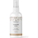 Mabelme Store Karanfil Suyu 100 ml Cam ŞIŞE%100 Saf ve Doğal (Clove Water) - Option-1