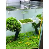 Mabs Tech Akvaryum Içi Vantuzlu Moss Balkonu - Dekoratif 3D Moss Teli Rafı – 5x5 cm Tel Uyumlu Tutucu - Aquascape Aksesuar