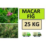 Macar Fiğ Tohumu 25 KG Macar Fiği Tohumu Fiğ Tohum