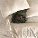 Macas Home Pure Love Pamuklu Ipliği Boyalı Yıkamalı Yastık Kılıfı50 x 70 cm - 50*70 - Krem