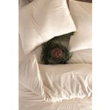 Macas Home Pure Natural 100 Pamuklu Yikamali Yastik Kilifi 2*50*70