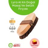 Macgon At Kılı Doğal Masaj ve Selülit Fırçası Boy 15 cm En 6 cm Kıl Uzunluğu 2 cm