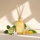 Mad Wellbeing Dreamy 190 ml, Rattan Çubuklu Ortam Kokusu – Bergamot, Yasemin ve Sandal Ağacı ile Rüya Gibi Bir Atmosfer