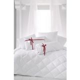 Madame Clean Home Çift Kişilik Antialerjik Lüx Microfiber Yorgan + 2 Adet 800 Gr Boncuk Slikon Yastık Seti