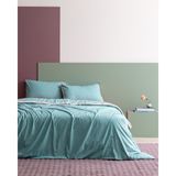 Madame Coco Allure King Size %100 Pamuk Çarşaflı Nevresim Takımı - Turkuaz - 240 x 220 cm