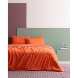 Madame Coco Allure King Size %100 Pamuk Çarşaflı Nevresim Takımı - Turuncu - 240 x 220 cm