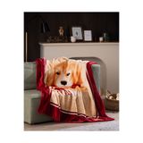 Madame Coco Chiot Wellsoft Polar Baskılı Tv Battaniye - Kahverengi