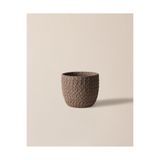 Madame Coco Dolly Saksı - Vizon - 20 cm