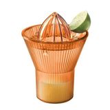 Madame Coco Henric Amber Narenciye Sıkacağı