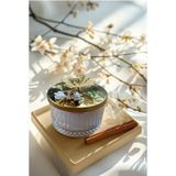 Madamiko Home Decor Dekoratif kelebek figürlü kapaklı cam kase.