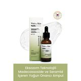 Madecassoside Ceramide Exosome-B Ampoule / Madecassoside Ve Seramid İçeren Yoğun Onarıcı Ampul