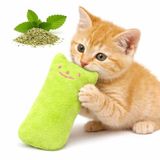 MADPET Catnip Kedi Oyuncağı Yeşil – Sesli Peluş Kedi Oyuncak, Isırınca Ses Çıkaran Plush Cat Toy, Yumuşak Dayanıklı Mini Boy Kedi Oyuncağı, Kediler için Eğlenceli Oyuncak