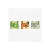 Mage 3' lü DOĞAL GÜZELLİK SABUN SETİ "Aloevera Salatalık - Argan - Zeytin Yaprağı
