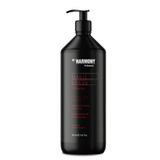 Magic Argan Series Nemlendirici 500 ml Saç Bakım Şampuanı