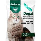 Magic Power Okaliptus Kokulu 25 gr Doğal Koku Giderici
