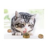 Magicool Kedi Nanesi Oyun Topu - Renkli