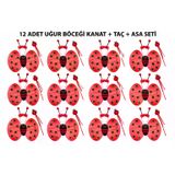 magicool Uğur Böceği Kostüm Seti - Kanat Taç Asa 3 Parça 12 Adet