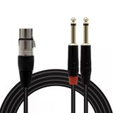 Magicvoice Ld369a 10 Metre Canon Xlr Dişi - 2X6.35mm Mono Erkek Jak Ses Sinyali Splitter Kablosu