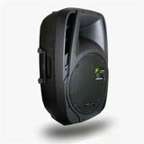 Magicvoice Mv-12 600 Watt 12'' 2-Yollu Pasif Kabin Hoparlör