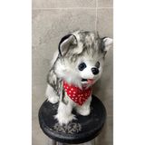 Magicway Müzikli Yürüyen Havlayan Yalayan Kuyruk Ve Başını Sallayan Ses Kaydı Yapan Pilli Peluş Köpek