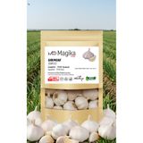 Magika Design Sarımsak 1 KG - Taze Hasat - Yerli Üretim - %100 Doğal, %100 Taze, %100 Yerli