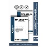 Magneday Magnezyum Complex 2x60 Kapsül