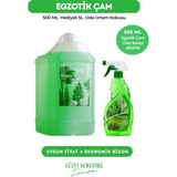 Magnesia Çam Ortam Kokusu 5 Lt Bidon (Ekonomik)+500 ml Sprey