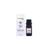 Magnesia Kozmetik Pure Touches Magnesia Lavanta Esans Uçucu Yağı 10 ml.