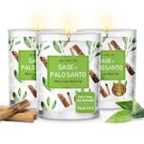 MAGNIFICENT 101 Pure Sage + Palo Santo Smudge 3'lü mum seti, ev enerji temizliği, negatif enerjiyi ortadan kaldırır, arıtma ve çakra iyileşmesi için - aromaterapi için doğal soya mumu mumları