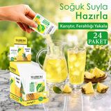 Mahbuba Ananas Aromalı Soğuk Toz İçecek 24x9gr - 216 gr