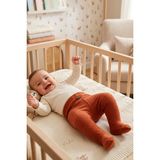 Mahfel %100 Pamuklu Fitilli Bebek Alt Pantolon Çikolata - 3 - 6 Ay - Regular