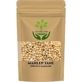 Mahlep Tane (Yabani Kiraz Çekirdeği) 1kg - 1 Adet