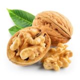 Mahmut Gedemenli Kahramanmaraş Kabuklu Ceviz 1 KG