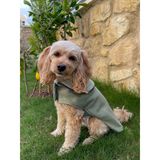 Maia Studio Mint Soft Kaşe Köpek Kabanı (Yeşil)