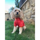 Maia Studio Vivetta Köpek Sweatshirt (Turuncu & Pembe)