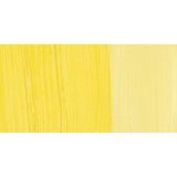 Maimeri Classico 081 Cadmium Yellow Light 60 ml Yağlı Boya