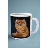Maine Coon Kedi Isimli Kişiye Özel Baskılı Kupa Bardak Model 2