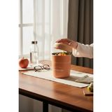 Maison Luré Termos Tohana Kulplu 2 Katlı Pembe Çelik Sefer Tası 710 ml