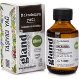 Makademya Yağı - Macadamia Ternifolia 100ml